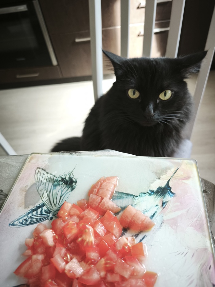 ��� �����-�� ������������ ����