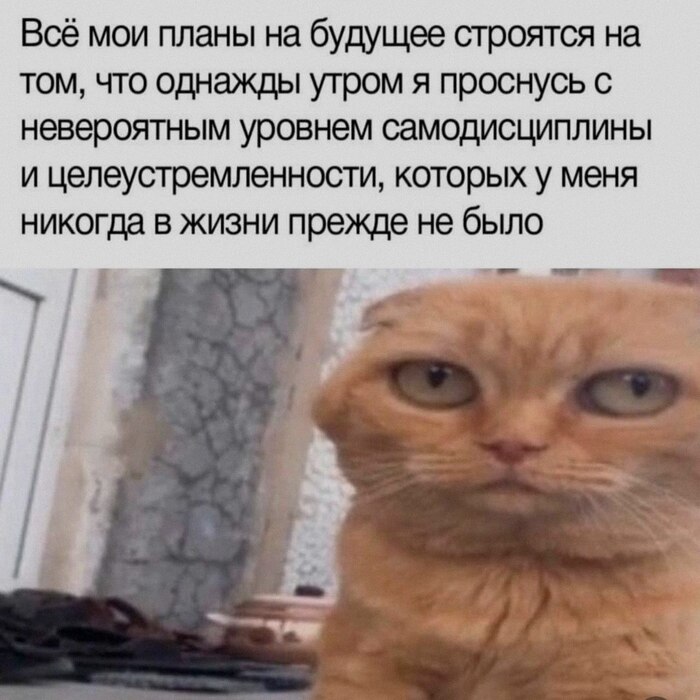 Рассчеты верны