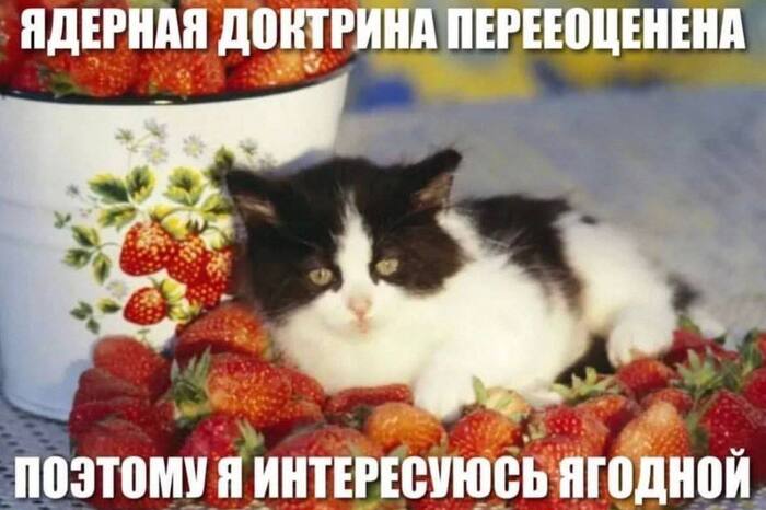 �������-������ ���
