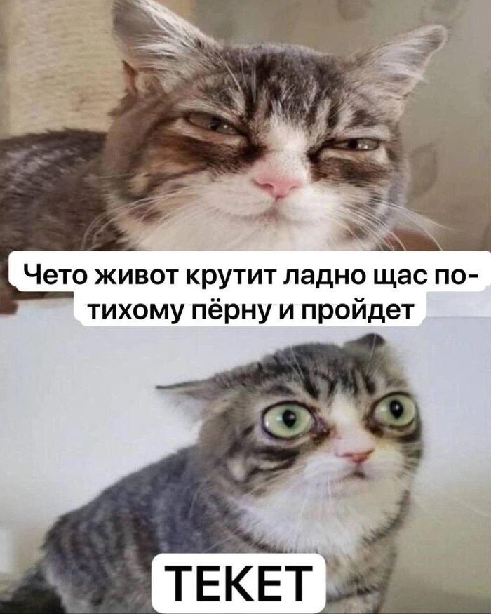 Что-то живот крутит