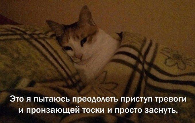 ���� ������ ���� ����� ������ �� ����� � ����� ���� ����� ������ �������