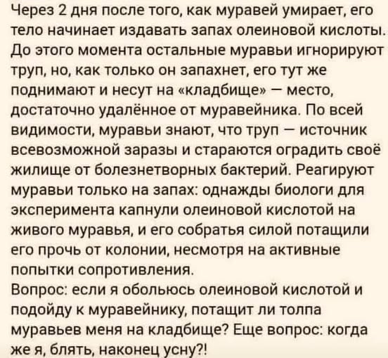 Задачка