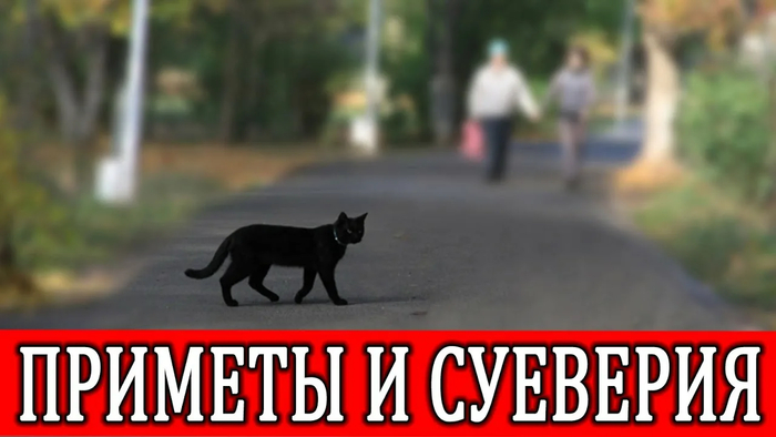 ����� ������ ������������  ��� ������   1 �����