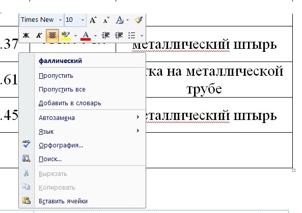 MS Word