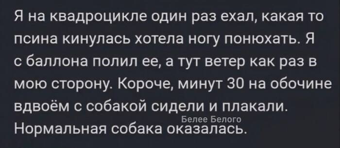 <!--noindex--><a href="https://pikabu.ru/story/20_let_vmeste_troe_shchenyat_14065294?u=https%3A%2F%2Ft.me%2Fbeleebelogo%2F22248&t=https%3A%2F%2Ft.me%2Fbeleebelogo%2F22248&h=89f43ccca51ebf55e60dd65bfdc6fac2ad9766d5" title="https://t.me/beleebelogo/22248" target="_blank" rel="nofollow noopener">https://t.me/beleebelogo/22248</a><!--/noindex-->