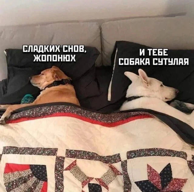 Here are the memes - Series Memes
, Humor, Picture with text, Memes, Strange humor, Longpost