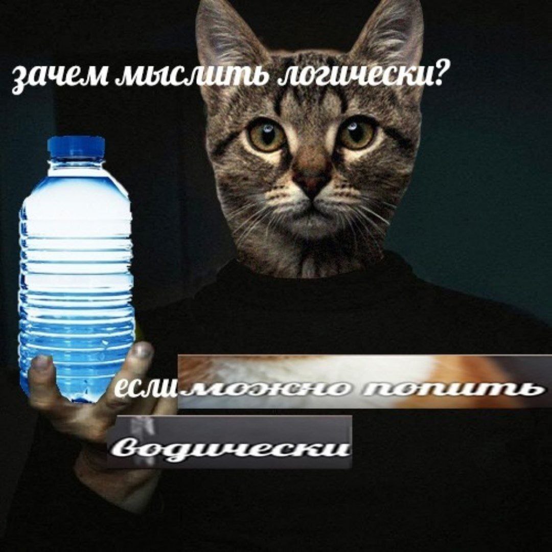 Here are the memes - Series Memes
, Humor, Picture with text, Memes, Strange humor, Longpost