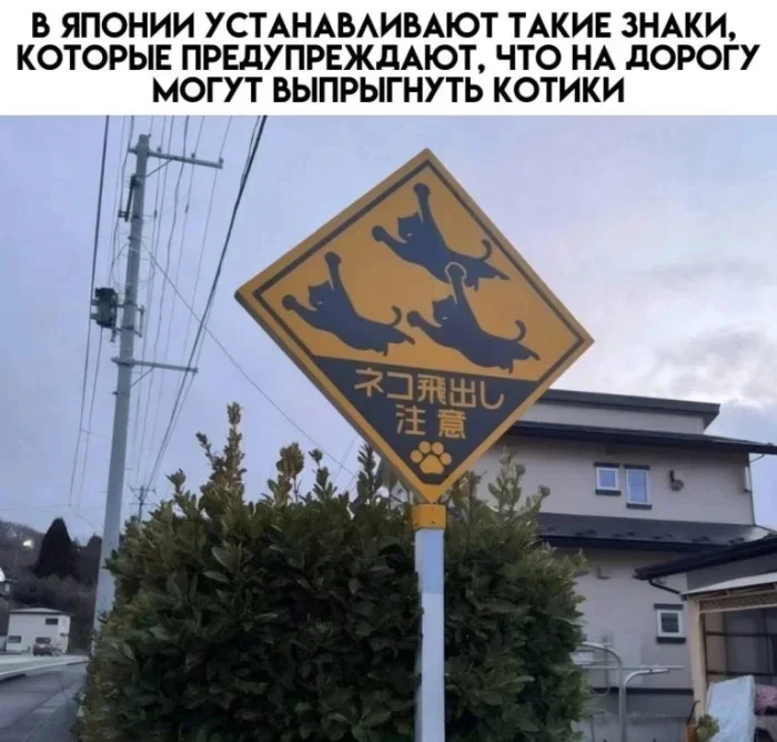 Memes in the feed! - Series Memes
, Humor, Picture with text, Memes, Longpost