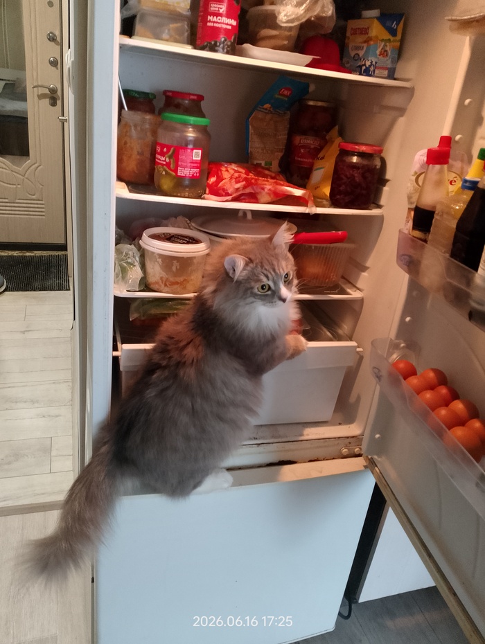 ����� �� ���� ���� �������