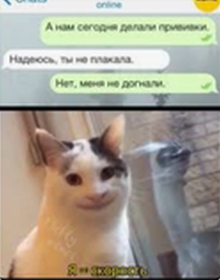 Введите описание к изображению (необязательно)