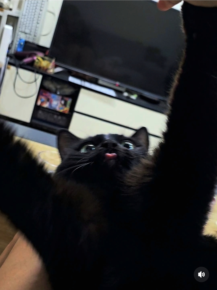 ��� ���