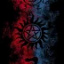 DSWinchesters