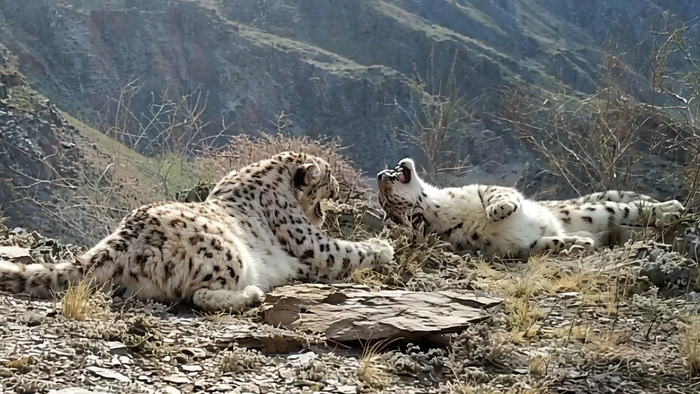 ��������