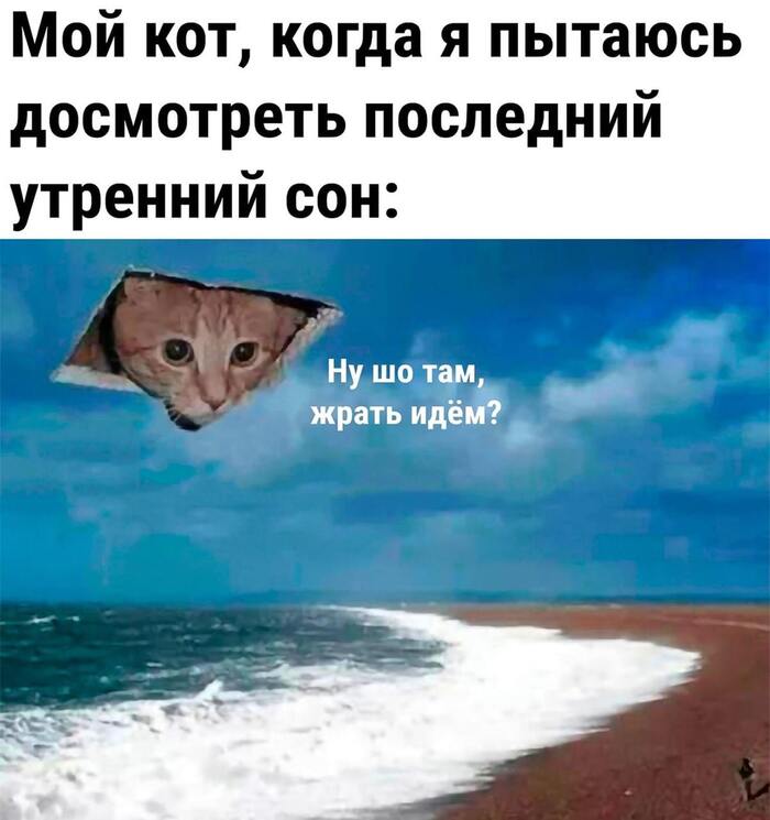 ���