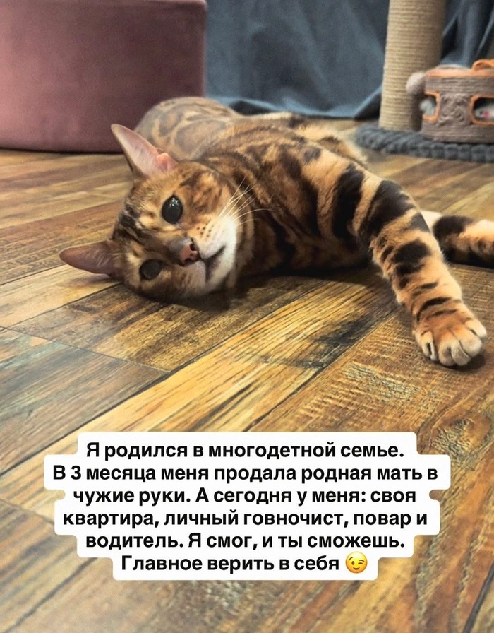 Верь в себя