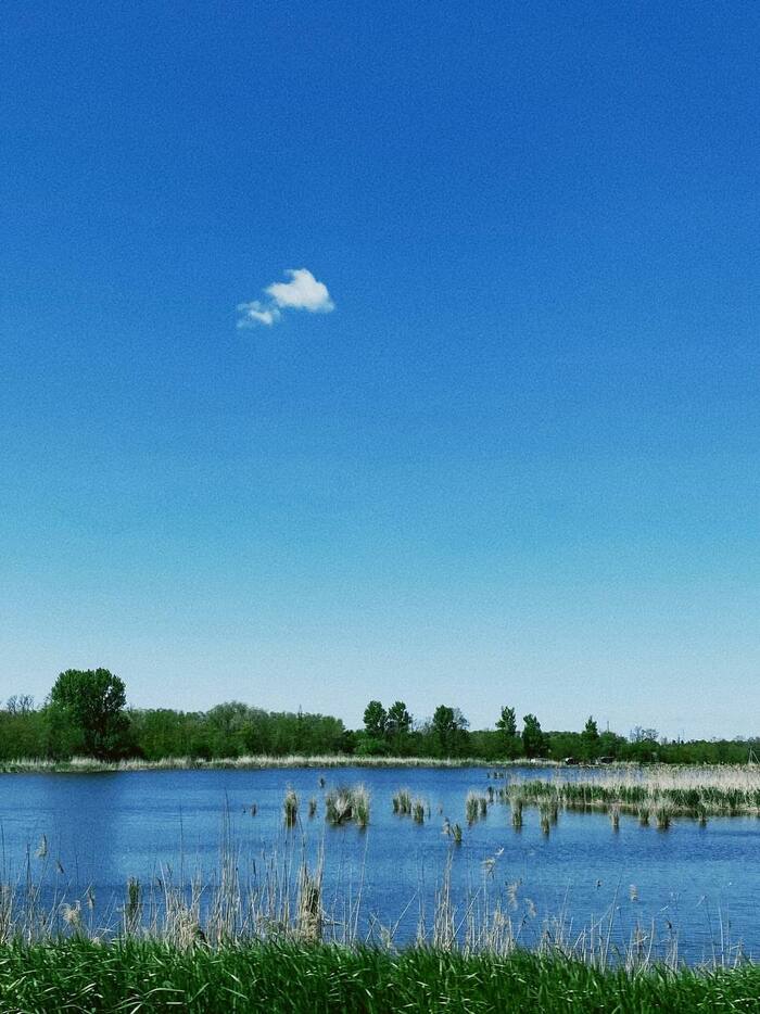 Лето