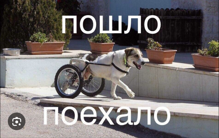 Извинитесь