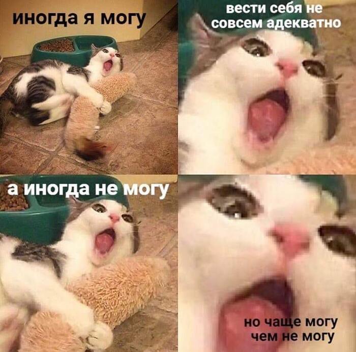 �� ������ �����