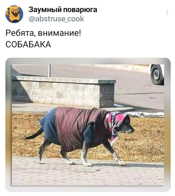 ������ ������ �����