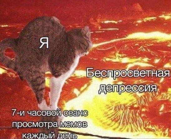 Мемы всё же спасают