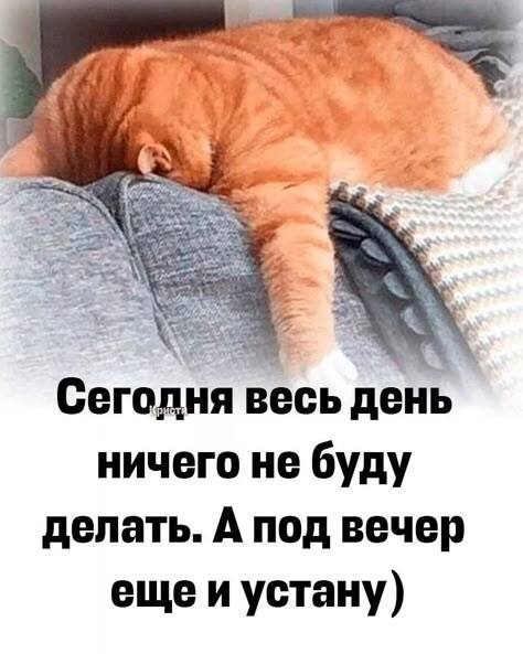 ����� �� ���� �������� ����. � ����������, ����������� (�)�