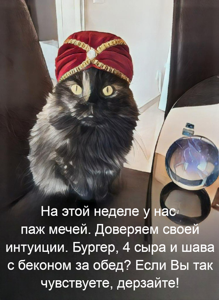 ������������ �� ����� 22.06.2026 �