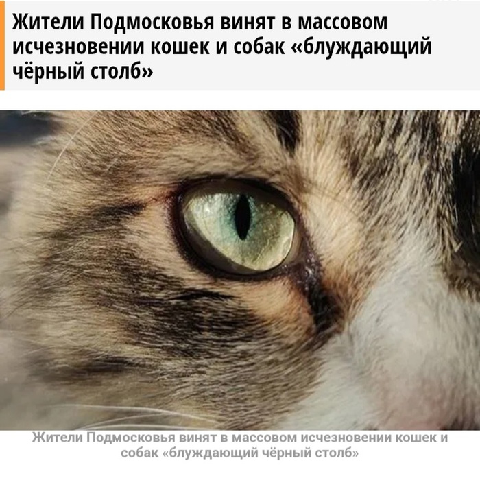 ����� �� �������� �� ������� - "���������� ������ �����"