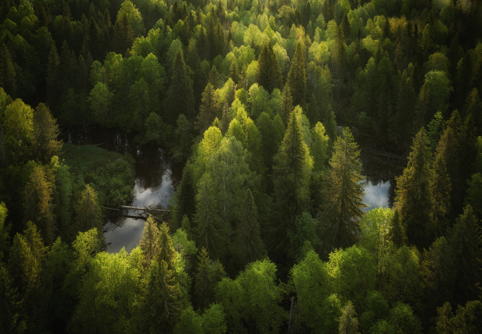 ����: ����� ������ <a href="https://pikabu.ru/story/tsarstvo_yuzhnoy_taygi_14089112?u=https%3A%2F%2Frtraveler.ru%2Fphoto%2F1483560%2F%3Fnew_photos%3D1&t=%D0%BE%D1%82%D1%81%D1%8E%D0%B4%D0%B0&h=119393c7027c7486ad99fd17b7cf4797b40163eb" title="https://rtraveler.ru/photo/1483560/?new_photos=1" target="_blank" rel="nofollow noopener">������</a>