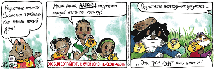 ��������� ������� �� 24.06.2026