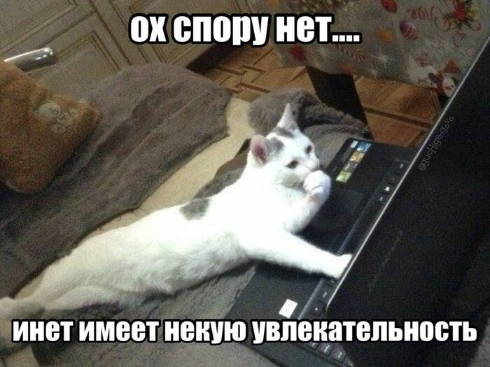 ����� ������� ���������� �� ����*��