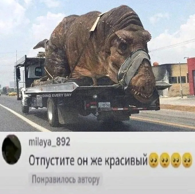 DED