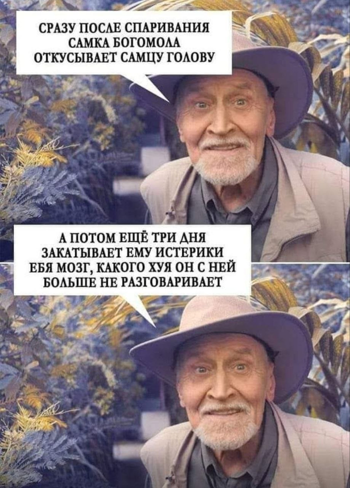 ������� ���� ������, ����� � ��� ���...