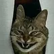 ������ ������������ WolfKuda
