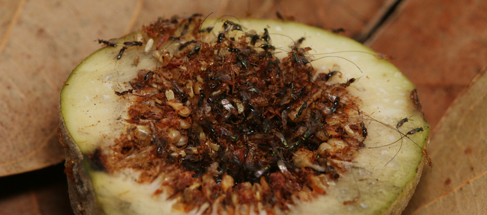 ��������� ��������!
