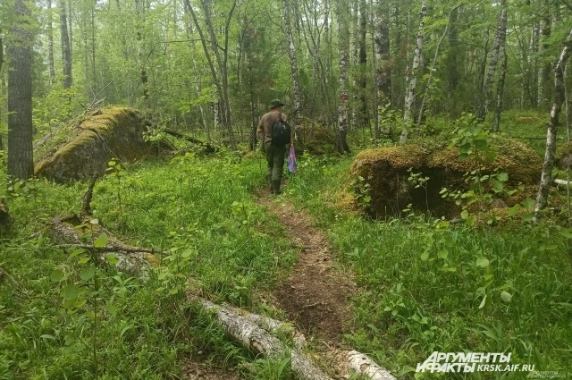 ��� ��� ����� � ������ ���������. ����: <a href="https://pikabu.ru/story/putali_sledyi_aifru_nashel_mesto_silyi_usoltsevyikh__yeto_shok_14099127?u=https%3A%2F%2Fkrsk.aif.ru%2F&t=krsk.aif.ru&h=07f9054803b1c08b960038183a0975edff2972f4" title="https://krsk.aif.ru/" target="_blank" rel="nofollow noopener">krsk.aif.ru</a>/ ������� �����������