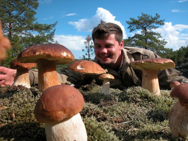 Mushroom picking in the Ladoga skerries - Series Corsair, My, Ladoga, Ladoga skerries, Hike, Men's cooking, Mushrooms, Fishing, Ladoga lake, Russia, Russians, Dacha, A boat, Boat, Berries, Family holiday, Camping, Video, Rutube, Short videos, Longpost