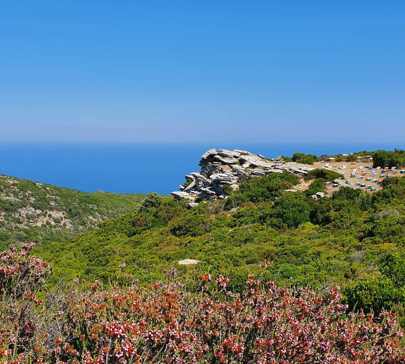 How Pikabu users sailed around Greece. Day 9, May 9. Ikaria Island. - Series Yacht Trips  Reports, My, Sea, Hike, Relaxation, Ocean, Adventures, Travels, Greece, Island, Sailboat, Sail, Yachting, Yacht, Video, Vertical video, Short videos, Longpost, Peekaboo+
