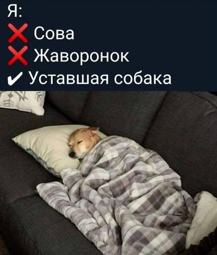 ��������� ����