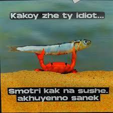 ������� ����� �� ���� ������: �������� ������� �� 30 ������