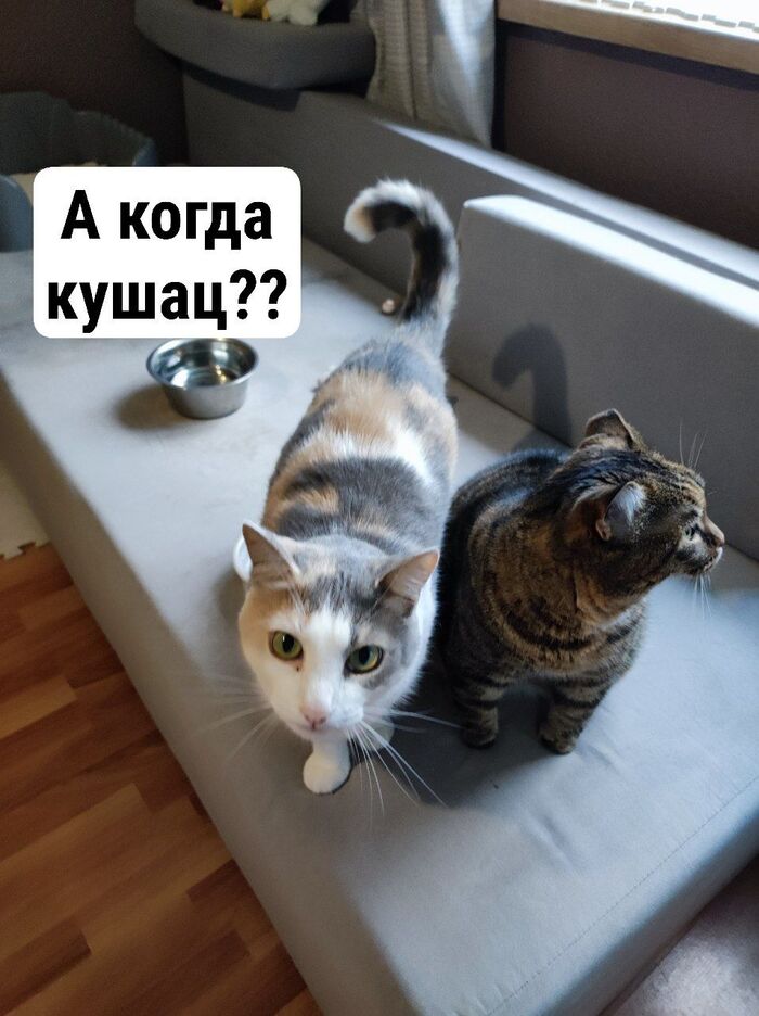 � �� �� ��� �������