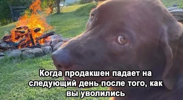 � ��� ������ �� ������ ��������� ��