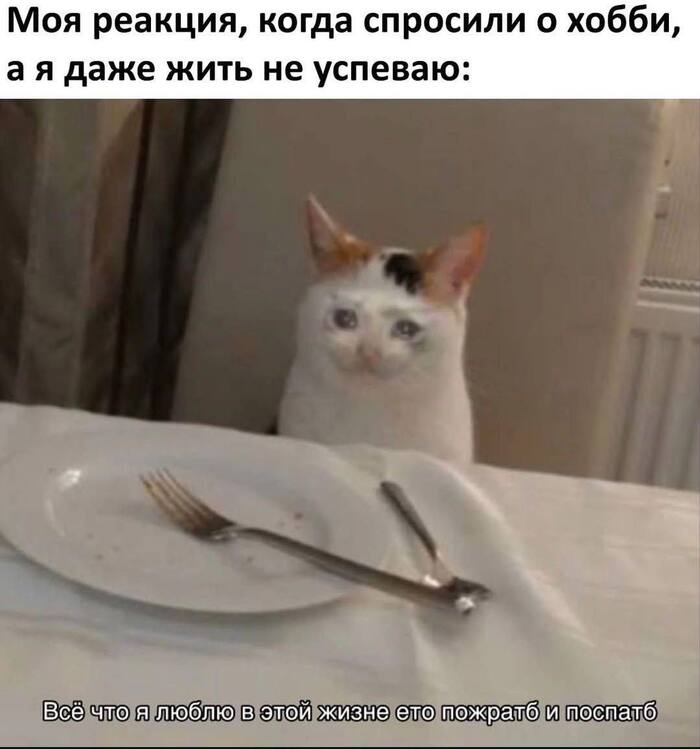 ���������� ����� ��� ����?