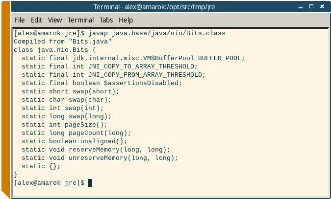 Разработка на Java без всего - Серия Жестокие эксперименты, Моё, Java, Хардкор, Программирование, Linux, IT, Программист, Видео, Rutube, Длиннопост