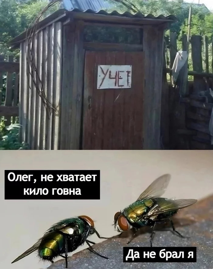 � ����� ���-�� � ������