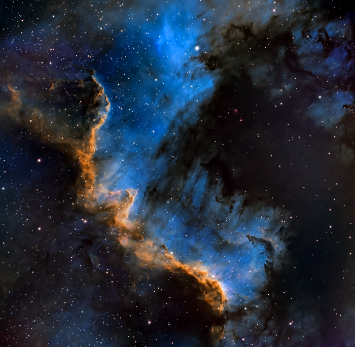 "����� ������" (��-��������� � Cygnus Wall)