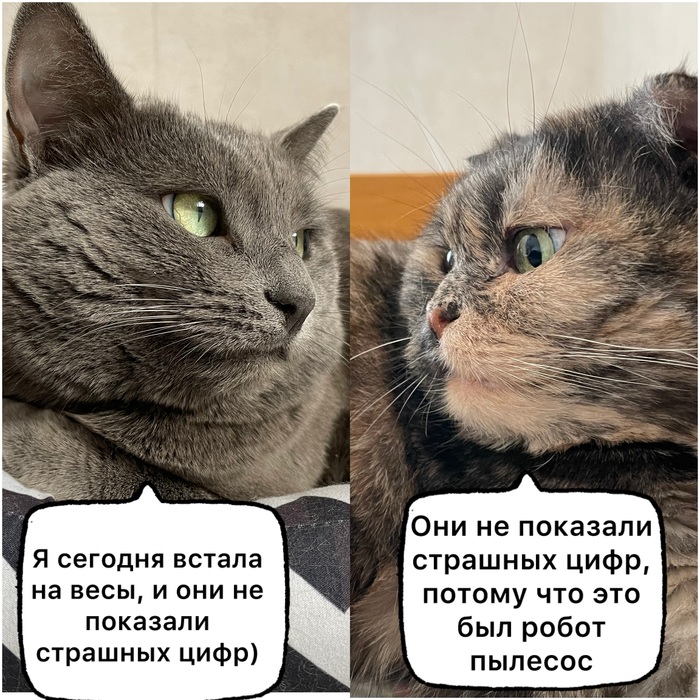 ������ �������, ��� �������� � ����