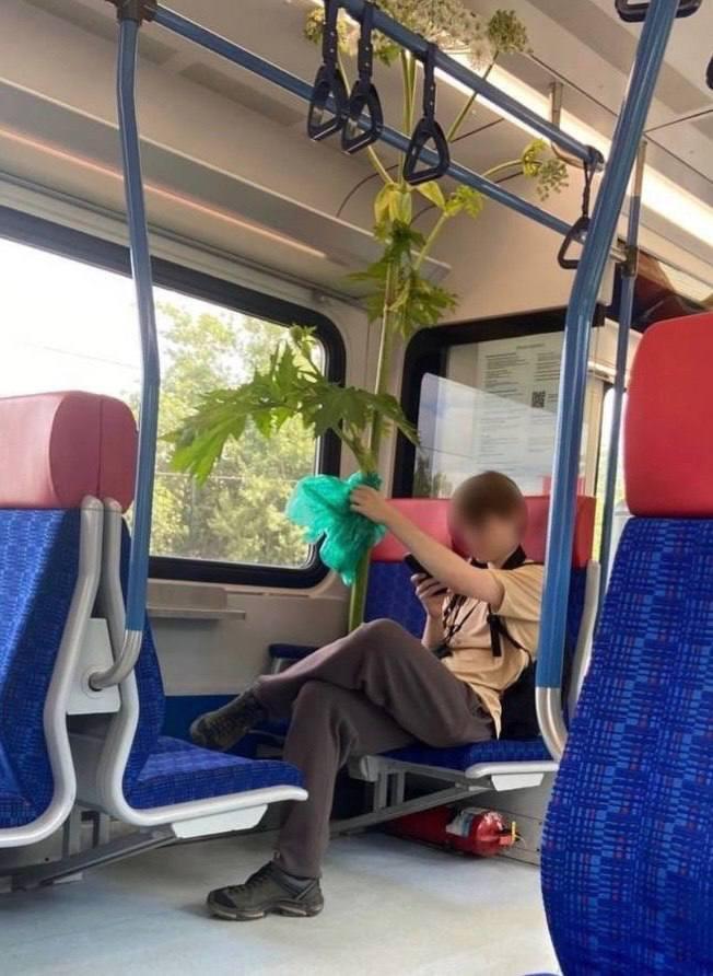 ����� ����� �������� ����� ������