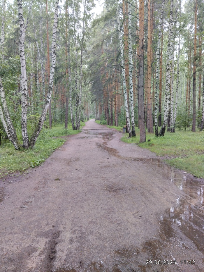 �� �������� ��������