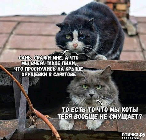 ������ ������� ����� � ������