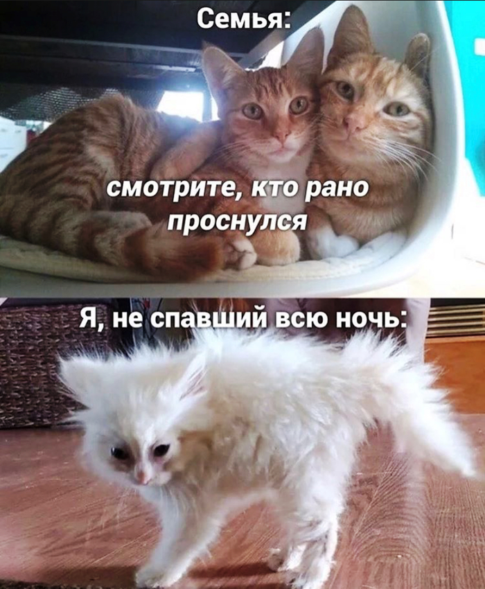 ������ ������� ����� � ������
